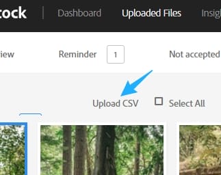 Adobe upload csv